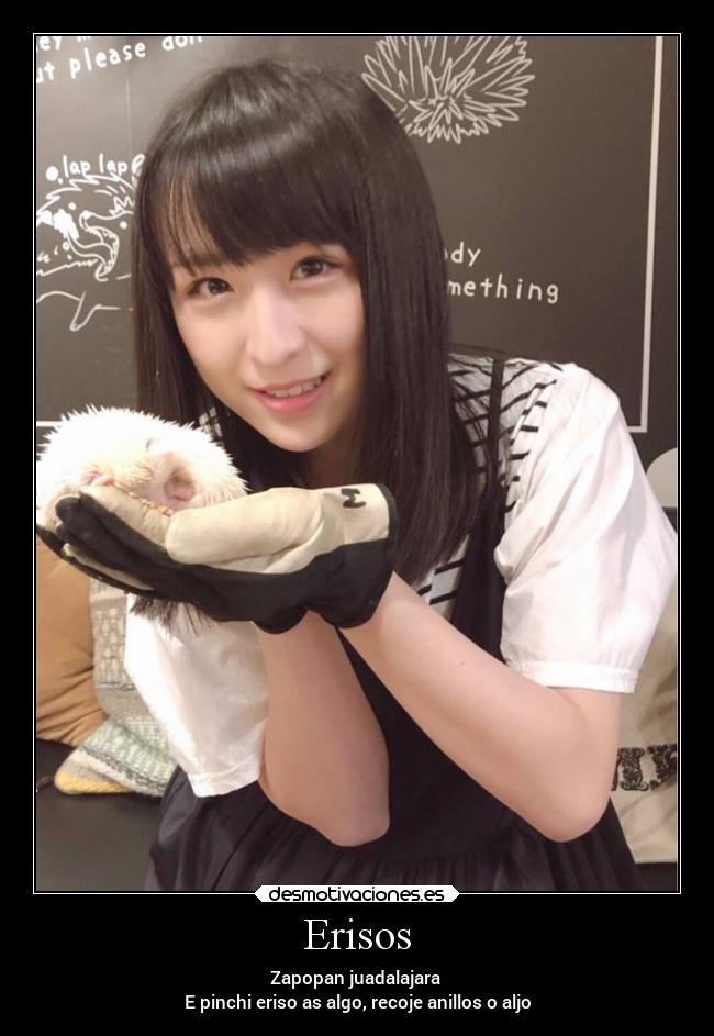 Erisos - Zapopan juadalajara
E pinchi eriso as algo, recoje anillos o aljo