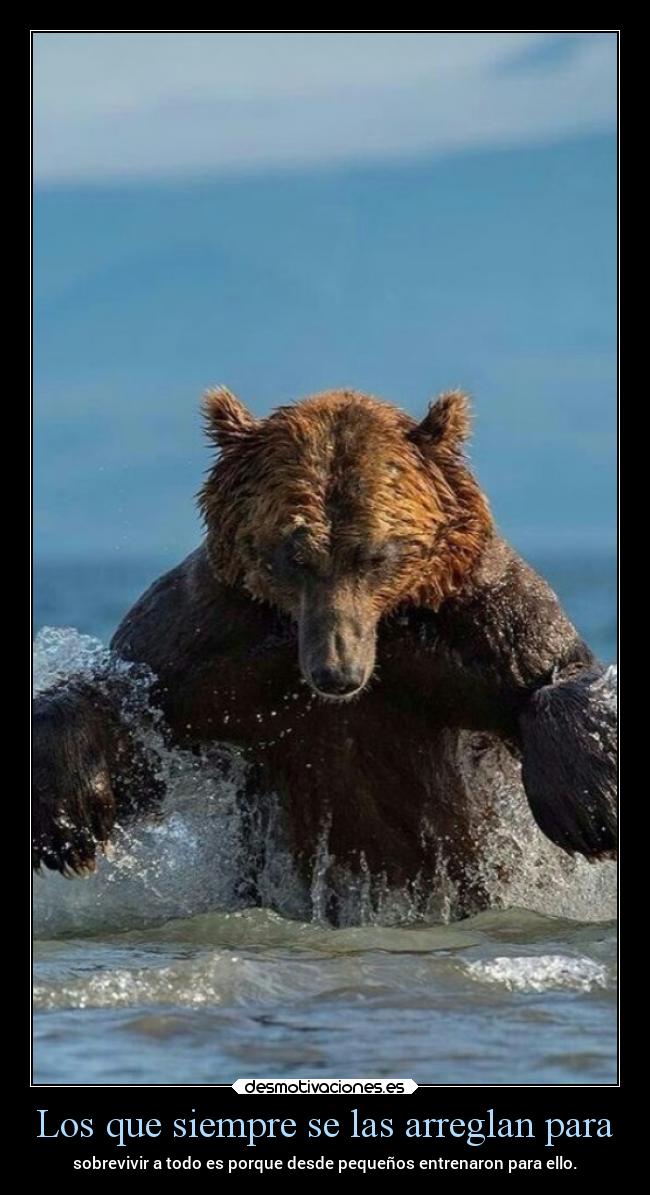 carteles desmotivaciones chopper igbt desmotivaciones