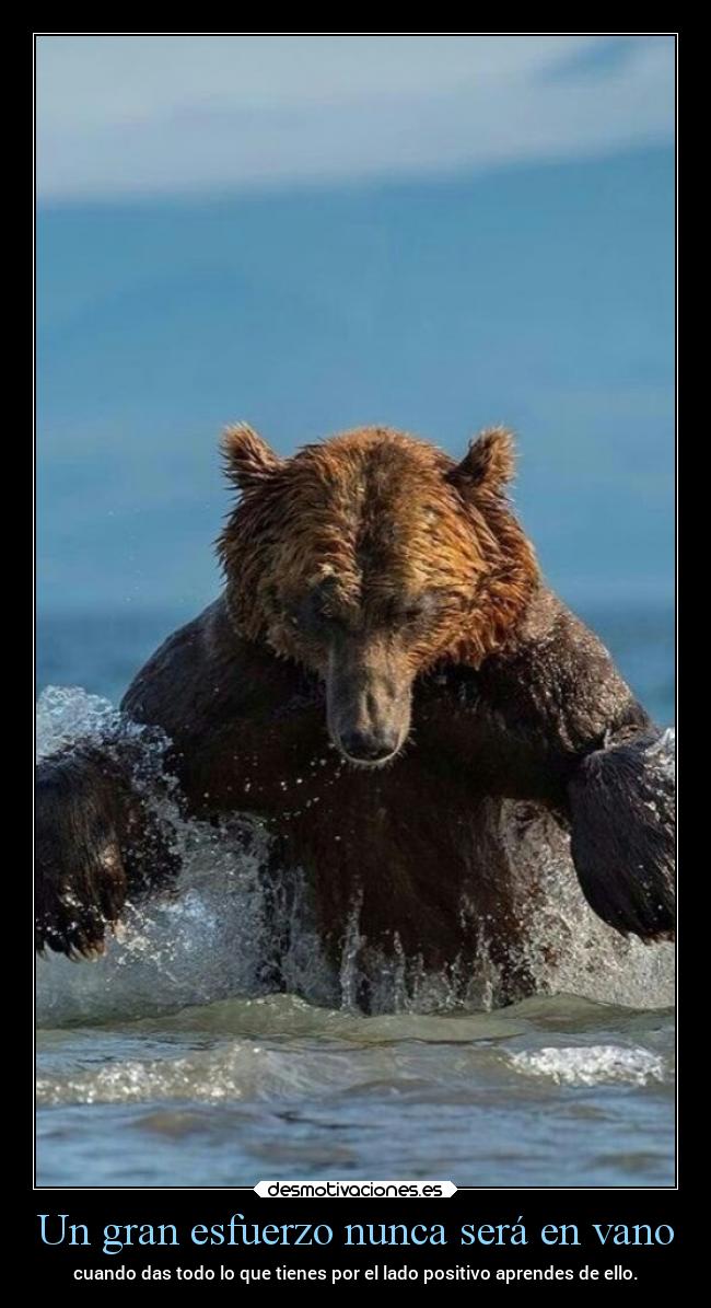 carteles desmotivaciones chopper igbt desmotivaciones