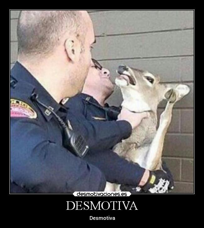 DESMOTIVA - Desmotiva