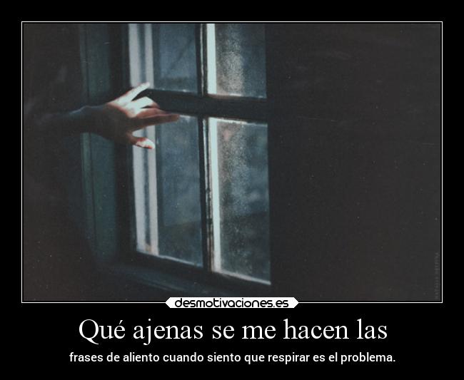 carteles desmotivaciones vida frasesparatubodyxd clandesplazado soyunidiotatm projectd manada32 desmotivaciones