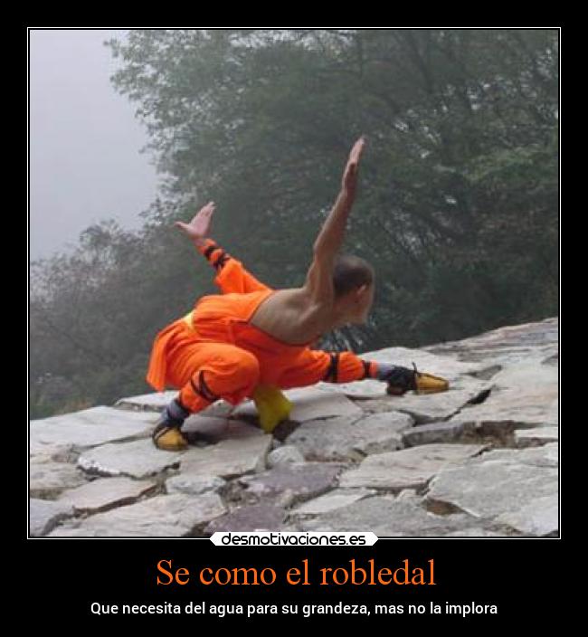 carteles filosofia frases kungfu artesmarciales desmotivaciones