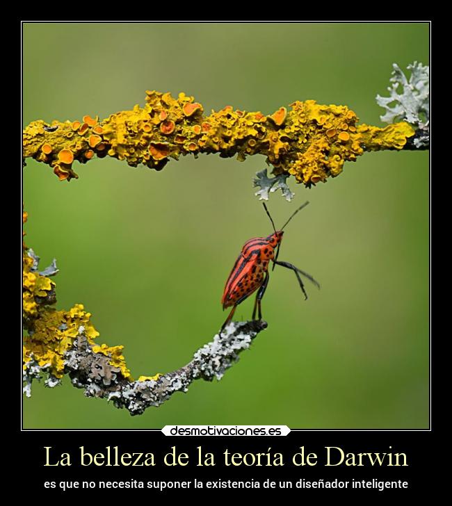 carteles naturaleza vida desmotivaciones