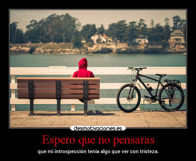 Espero que no pensaras - que mi introspección tenía algo que ver con tristeza.