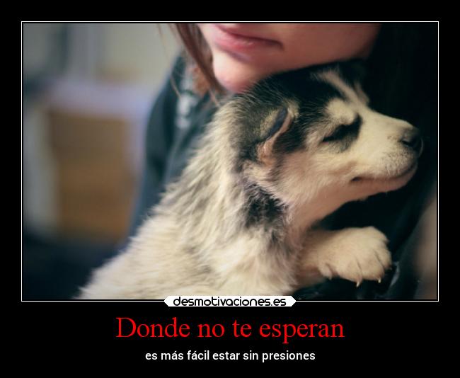 Donde no te esperan - es más fácil estar sin presiones