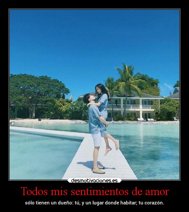 carteles sentimientos amor vida amor aishiterumago fairymago projectd desmotivaciones