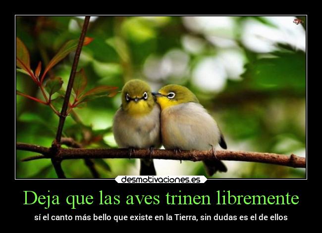 carteles vida amor alma pensamientos sentimientos suenos desmotivaciones