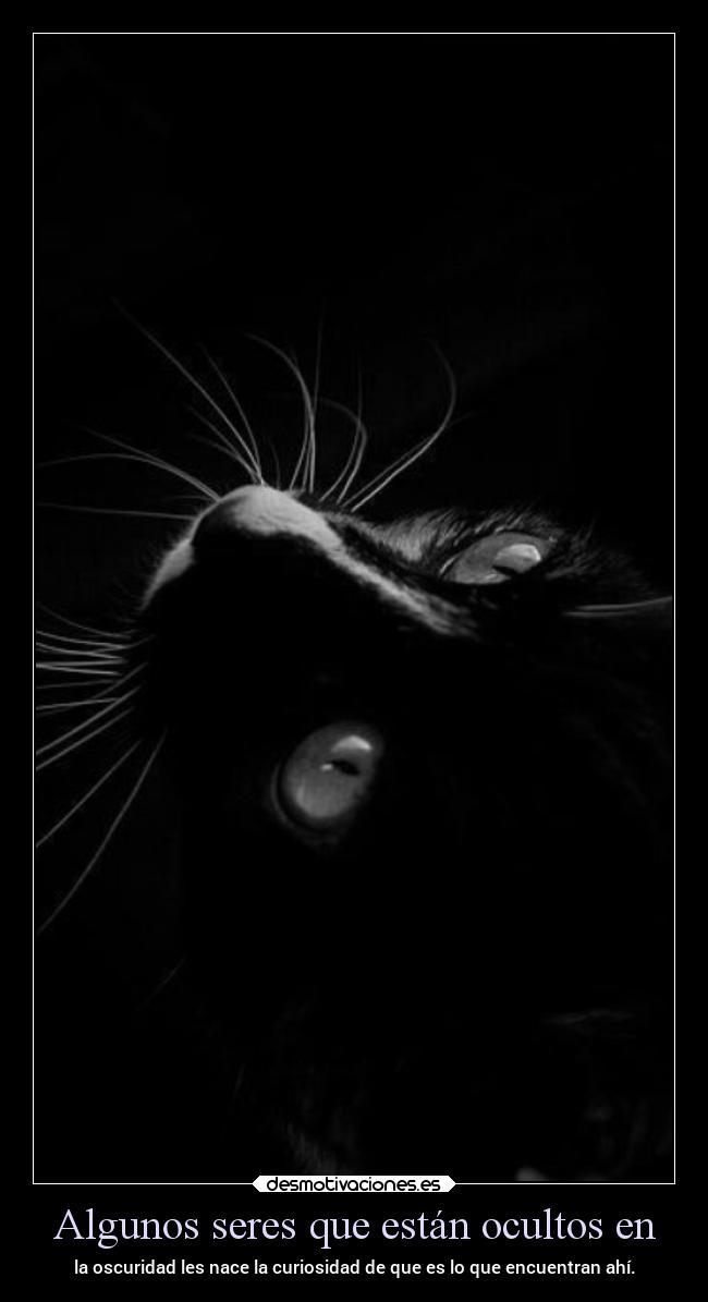 carteles vida frases desmotivaciones ltsb blancoynegroav riseandfall alex vazquez999 desmotivaciones