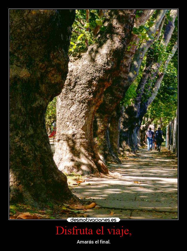 carteles vida desmotivaciones