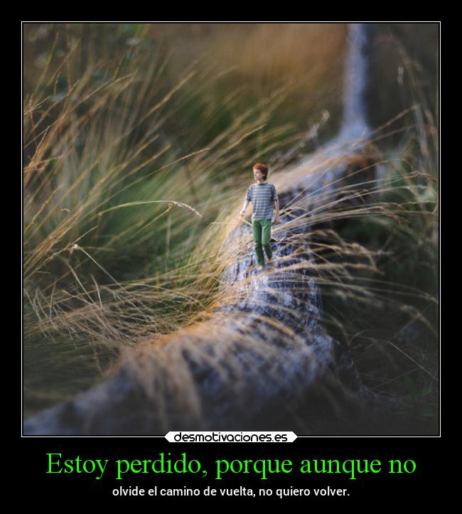 Estoy perdido, porque aunque no - 