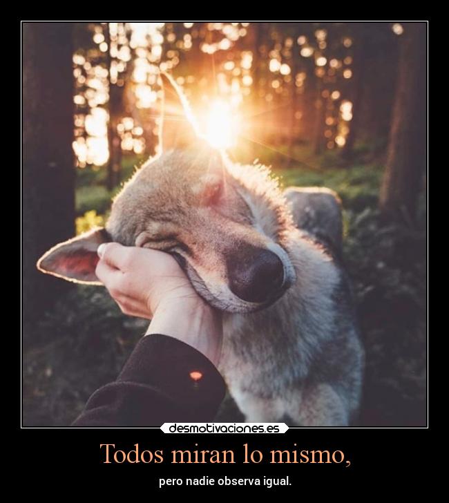 Todos miran lo mismo, - pero nadie observa igual.