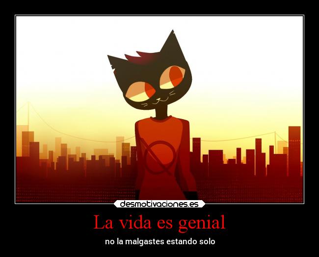 La vida es genial - no la malgastes estando solo