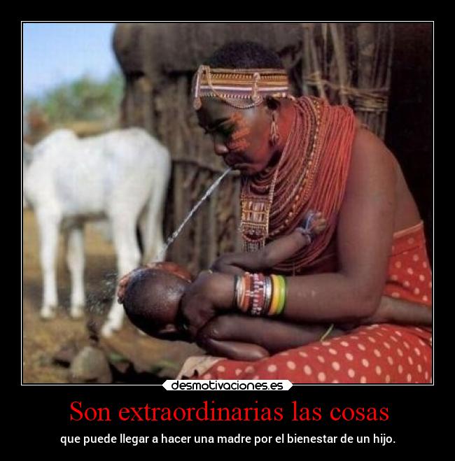 Son extraordinarias las cosas -
