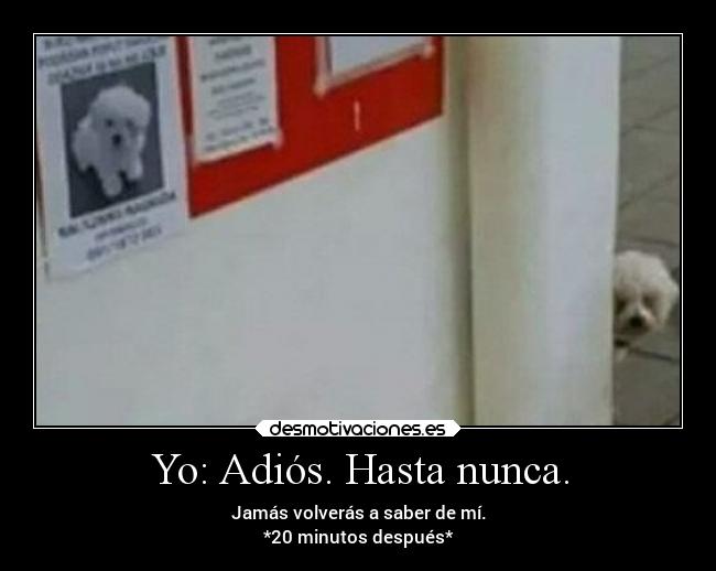 Yo: Adiós. Hasta nunca. -