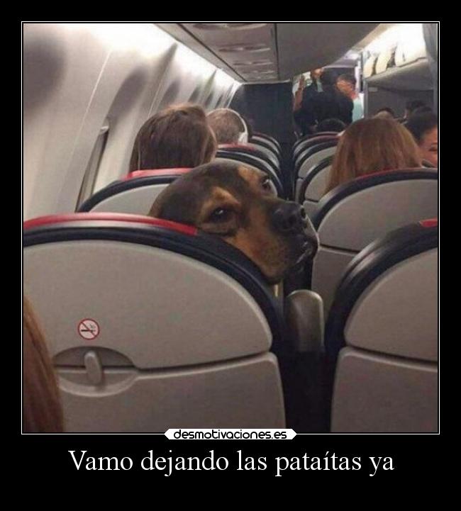 Vamo dejando las pataítas ya -