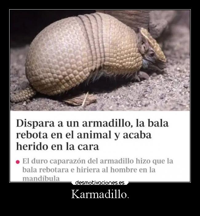 Karmadillo. - 