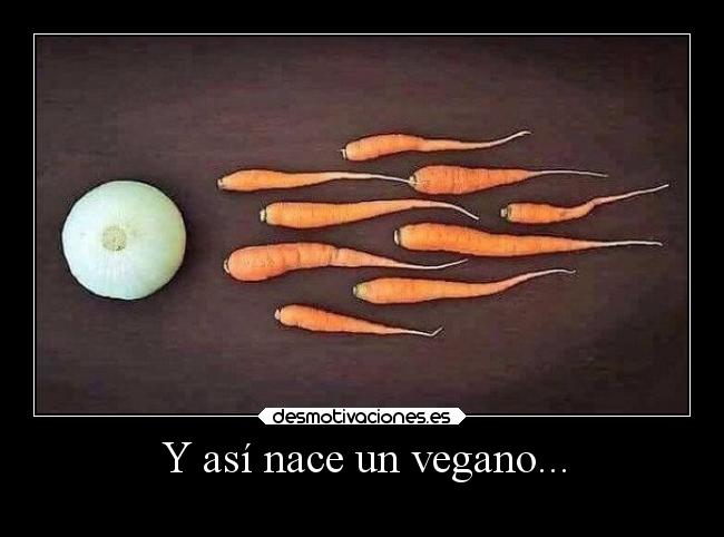 Y así nace un vegano... - 