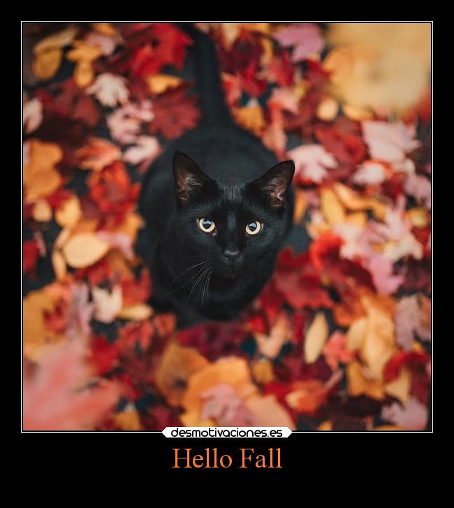 carteles alegria lalalalala unicorniosrosasyazules desmotivaciones