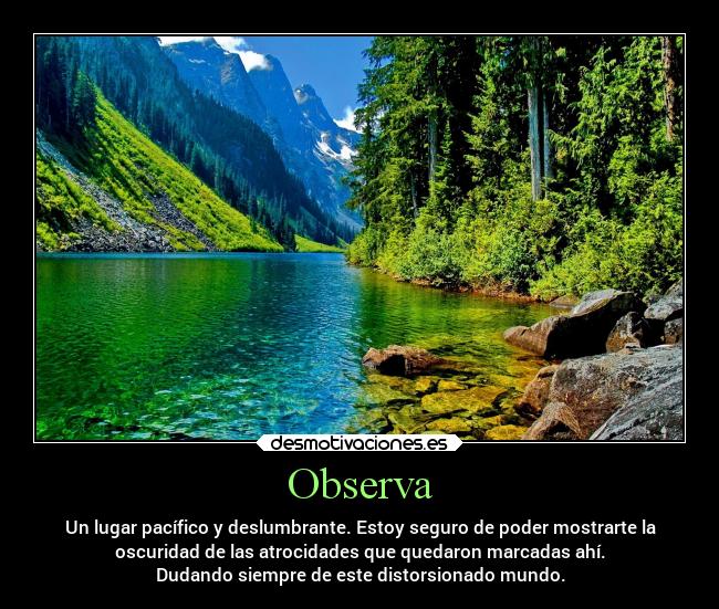 Observa - 