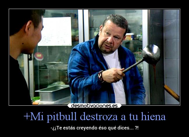 +Mi pitbull destroza a tu hiena - -¿¡Te estás creyendo éso qué dices... ?!