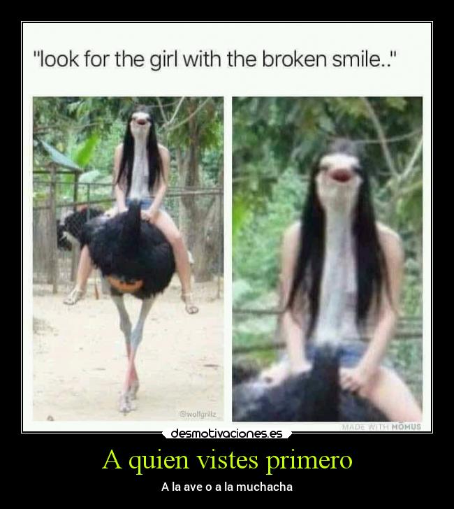 A quien vistes primero - A la ave o a la muchacha