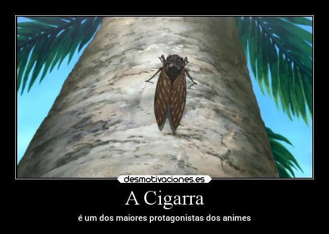 A Cigarra - 