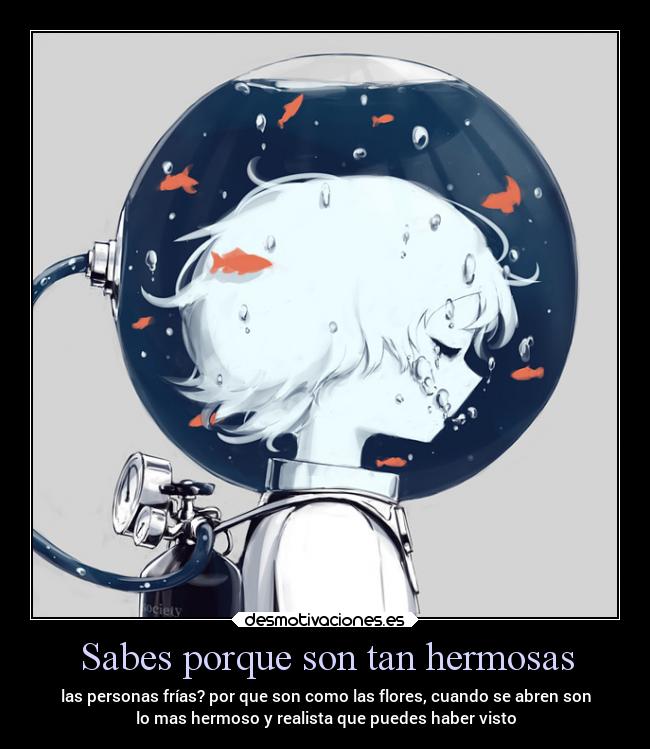 Sabes porque son tan hermosas - las personas frías? por que son como las flores, cuando se abren son
lo mas hermoso y realista que puedes haber visto