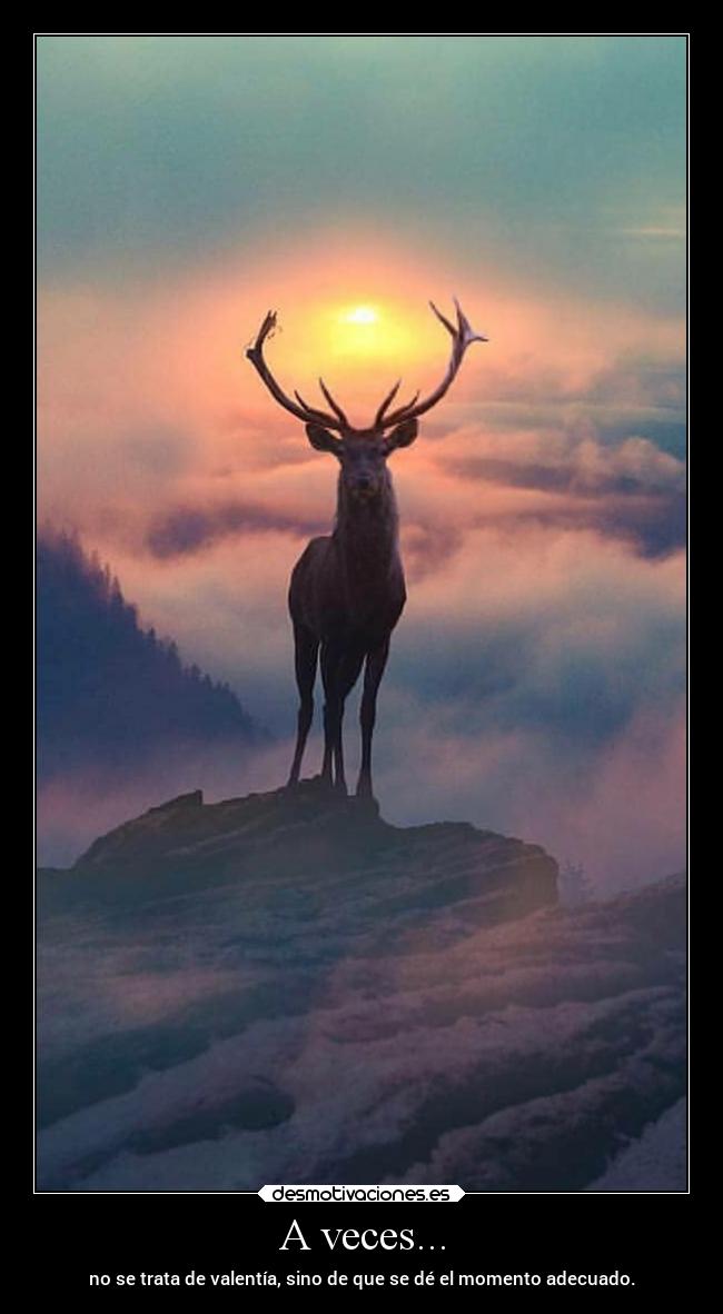 A veces... - no se trata de valentía, sino de que se dé el momento adecuado.