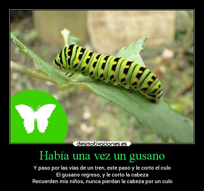 carteles chiste animales desmotivaciones