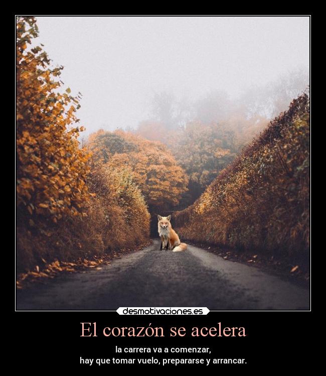 El corazón se acelera -