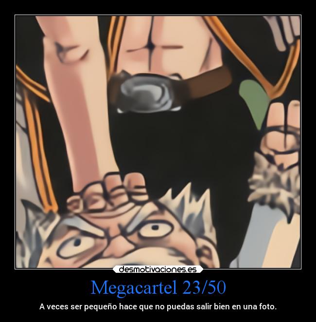 Megacartel 23/50 -