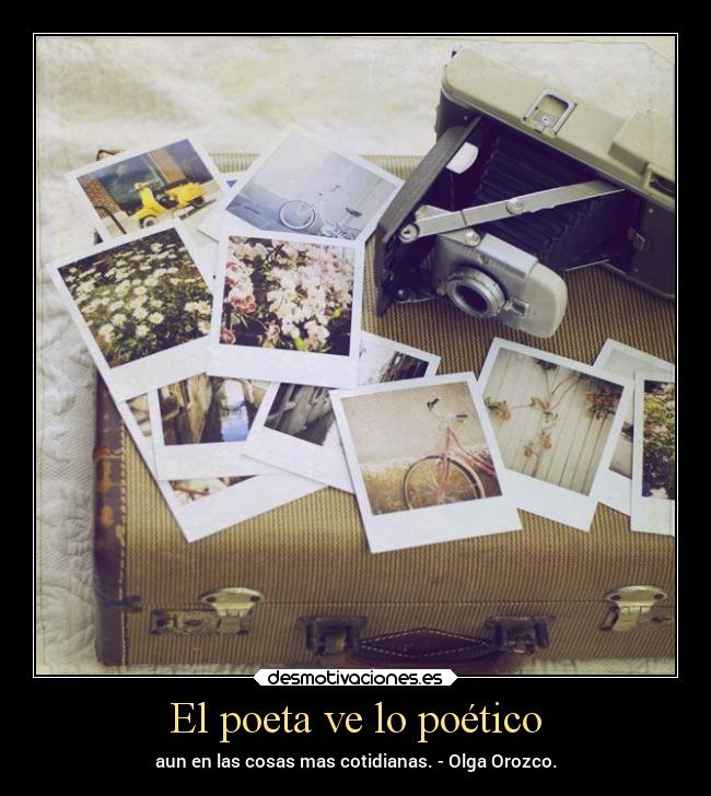 carteles desmotivaciones vida arte sentimientos pensamientos desmotivaciones