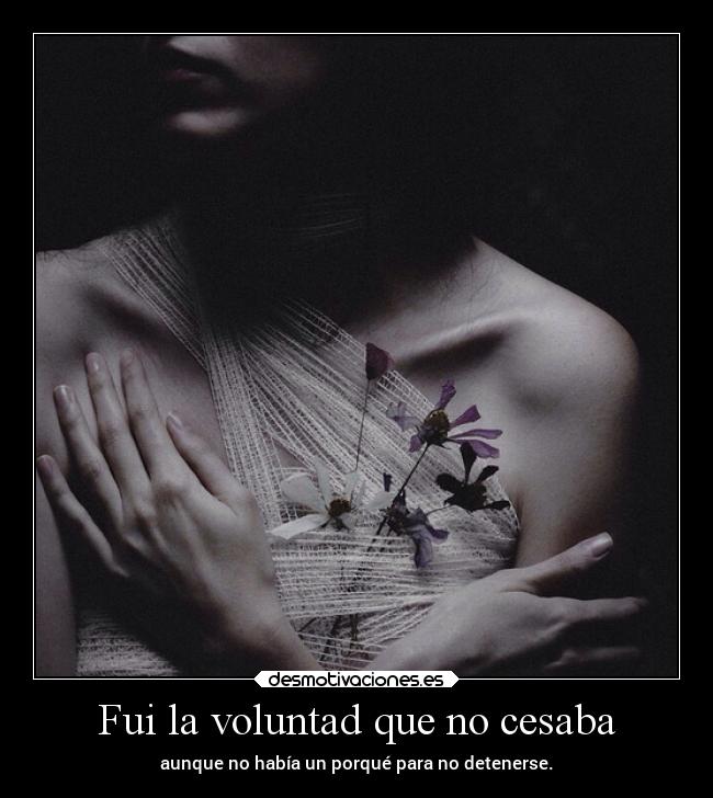 carteles desmotivaciones vida clandesplazado soyunidiotatm projectd manada32 desmotivaciones