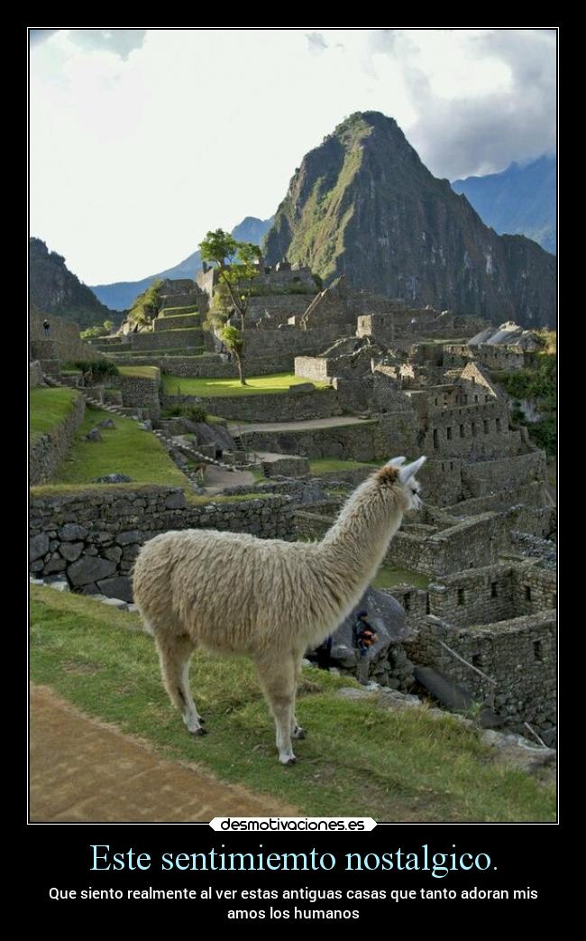 Este sentimiemto nostalgico. - Que siento realmente al ver estas antiguas casas que tanto adoran mis
amos los humanos