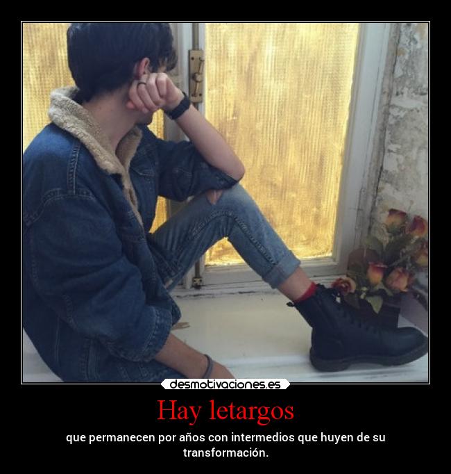 Hay letargos - que permanecen por años con intermedios que huyen de su
transformación.