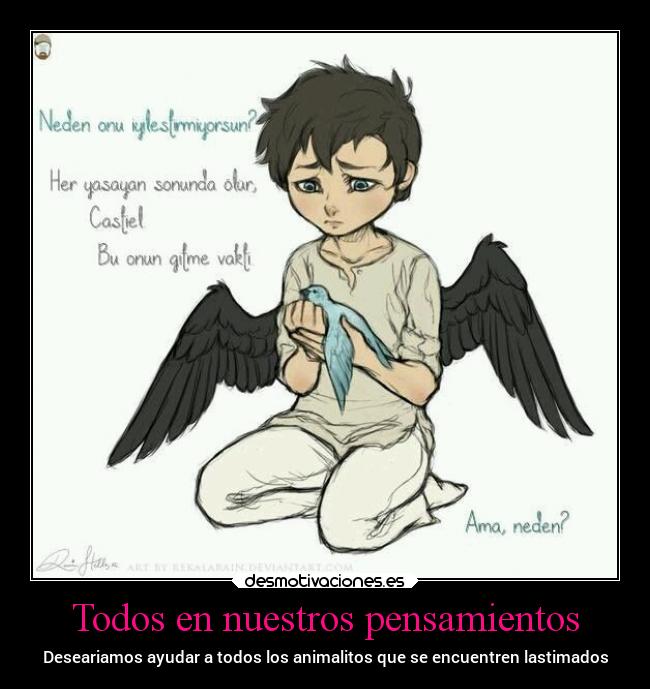 Todos en nuestros pensamientos - Deseariamos ayudar a todos los animalitos que se encuentren lastimados