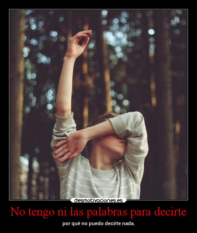 No tengo ni las palabras para decirte - por qué no puedo decirte nada.