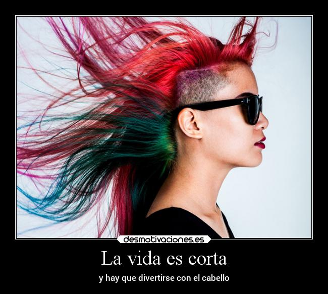 La vida es corta - y hay que divertirse con el cabello