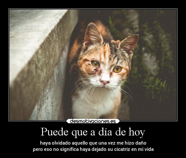 Puede que a día de hoy - haya olvidado aquello que una vez me hizo daño
pero eso no significa haya dejado su cicatriz en mi vida