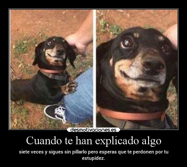 Cuando te han explicado algo -