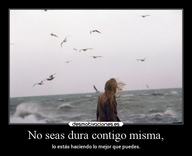 carteles vida sefuerte pocoapoco tiempo fuerza desmotivaciones