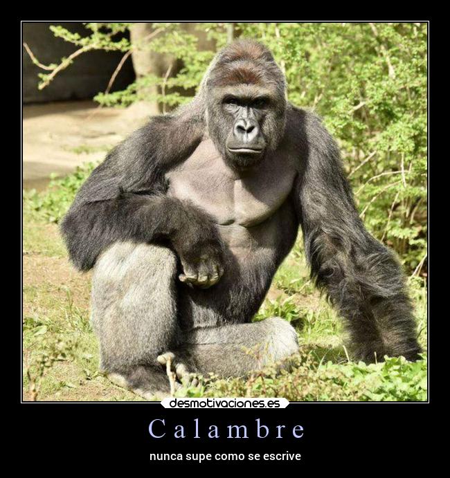 carteles videojuegos porno desmotivaciones