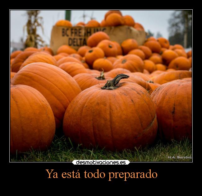 Ya está todo preparado -