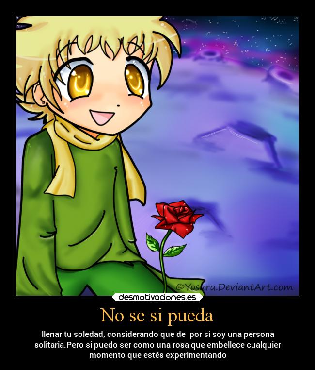 No se si pueda - llenar tu soledad, considerando que de por si soy una persona
solitaria.Pero si puedo ser como una rosa que embellece cualquier
momento que estés experimentando