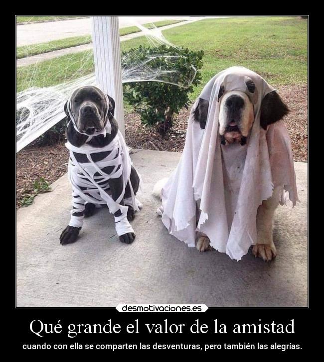 carteles amistad desmotivaciones vida clandesplazado soyunidiotatm projectd manada32 desmotivaciones