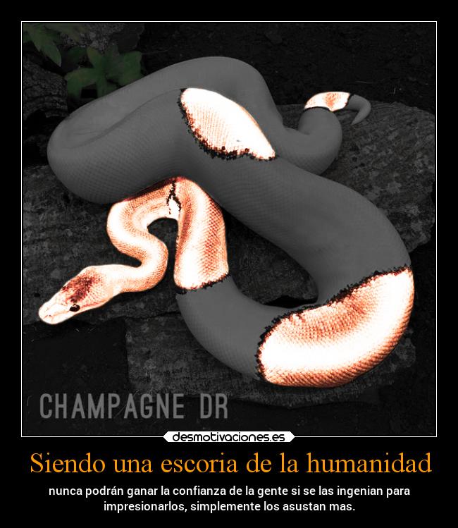 Siendo una escoria de la humanidad - nunca podrán ganar la confianza de la gente si se las ingenian para
impresionarlos, simplemente los asustan mas.