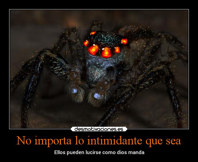 No importa lo intimidante que sea - Ellos pueden lucirse como dios manda