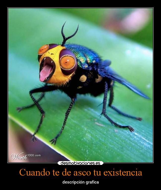 carteles animales asco existencia desmotivaciones