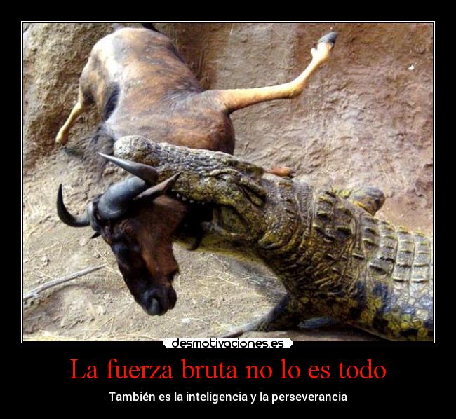 La fuerza bruta no lo es todo - También es la inteligencia y la perseverancia