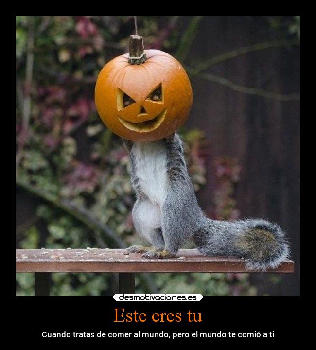 Este eres tu - Cuando tratas de comer al mundo, pero el mundo te comió a ti